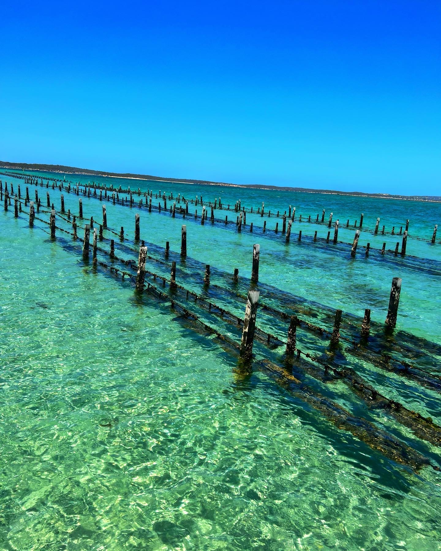 Coffin Bay Oyster Farm